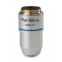 Objetiva de microscópio Euromex 60X/0.80 plan, com mola, DIN, BB.8860 (BioBlue.lab) (56747)