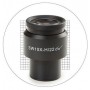 Euromex 10X/22mm, ocular de microscópio com grelha de medição 20x20, Ø30mm, DX.6210-SG (Delphi-X) (56676)