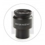 유로멕스 10X/25mm SWF, 20x20 측정 격자 접안렌즈, Ø30 mm, DX.6010-SG (델피-X) (56671)
