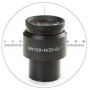 چشمی میکروسکوپ Euromex DX.6010-CM 10X/25mm SWF، میکرومتر، صلیب، Ø30 mm (برای Delphi-X) (56669)