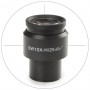 Euromex Merilni okular DX.6010-C, SWF 10x / 25 mm, križec, Ø 30 mm (Delphi-X) (53524)