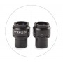 Oculare micrometrico Euromex NZ.6210-C, 10x/22 mm SWF, reticolo a croce (Nexius EVO) (62997)