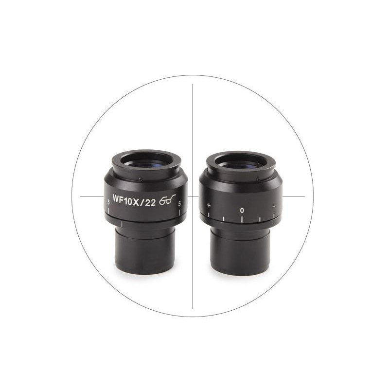 Euromex Oculair NZ.6010-C, 10x/22, 1 stuk, (Nexius Zoom) (63091)