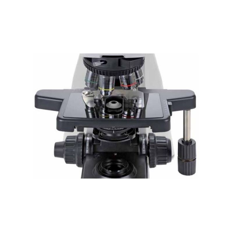 Sticlă de safir pentru microscop Euromex, dreapta, DX.9504-R (Delphi-X) (56684)