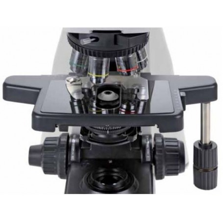 Platina de microscópio de vidro Euromex Sapphire, direita, DX.9504-R (Delphi-X) (56684)