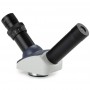 Euromex AE.5511 demonstration head (for EcoBlue, BioBlue) (56726)