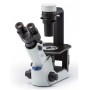Evident Olympus Inverterat mikroskop Olympus CKX53 Hellfeld V1, trino, 40x, 100x (49701)