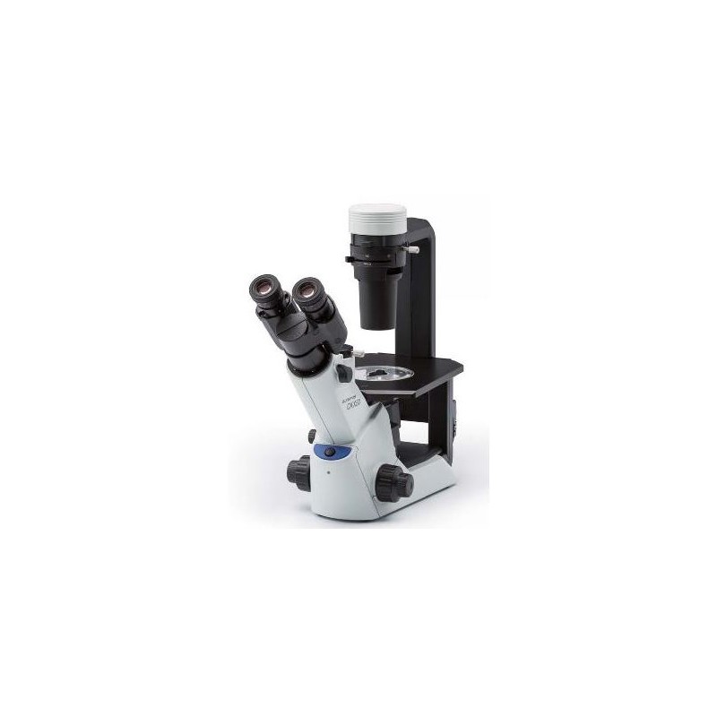 Evident Olympus Inverted microscope Olympus CKX53 Hellfeld V2, trino, infinity, plan, achro, 2x, 4x, 10x, LED (49702)
