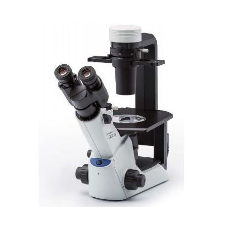 Evident Olympus Inversmikroskop Olympus CKX53 IPC/IVC V1, PH, Trino, Unendlich, Achro, 10x, 20x, 40x, LED (49703)