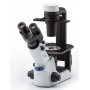 Evident Olympus invertovaný mikroskop Olympus CKX53 IPC/IVC V1, PH, trino, infinity, achro, 10x, 20x, 40x, LED (49703)