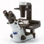 Evident Olympus CKX53 trinocular microscope, 100X, 200X, 400X, IPC / IVC x/y stage (49704)