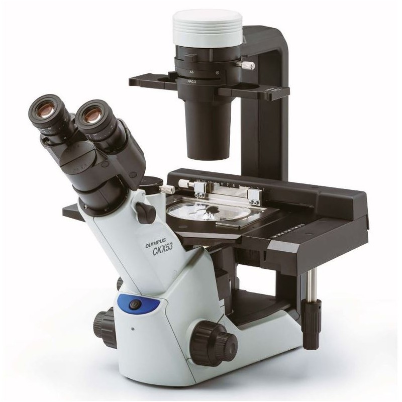 Evident Olympus Inverted microscope Olympus CKX53 with stage drive,trino, infinity, plan achro, LED,without objectives (78687)