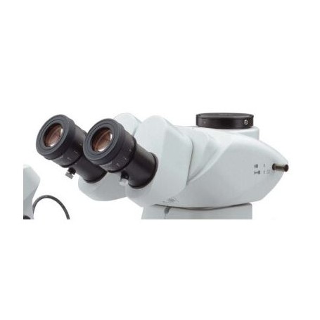 Microscopio stereo zoom Evident Olympus SZX7, trinoculare, 0.8x-5.6x, con luce trasmessa (49711)