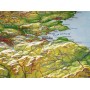 Georelief Great Britain 3D relief map (in English) (79625)
