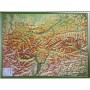 Georelief Tyrol (78 x 58 cm) 3D relief map with Wood frame (in German) (78007)