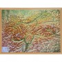 Georelief Tyrol (78 x 58 cm) 3D relief map with Wood frame (in German) (78008)