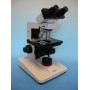 Hund Microscope H 600 Wilozyt Plan, bino, ph, 100x, - 1000x (44372)