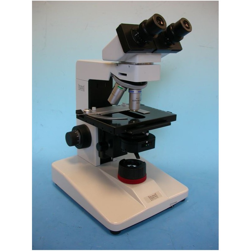 Hund Microscope H 600 Wilozyt Plan, bino, ph, 100x, - 1000x (44372)