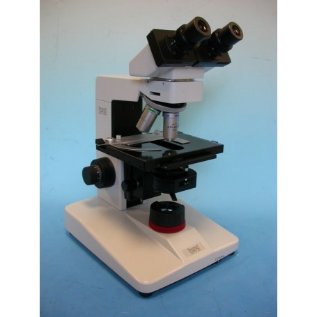 Hund Microscope H 600 Wilozyt Plan, bino, ph, 100x, - 1000x (44372)