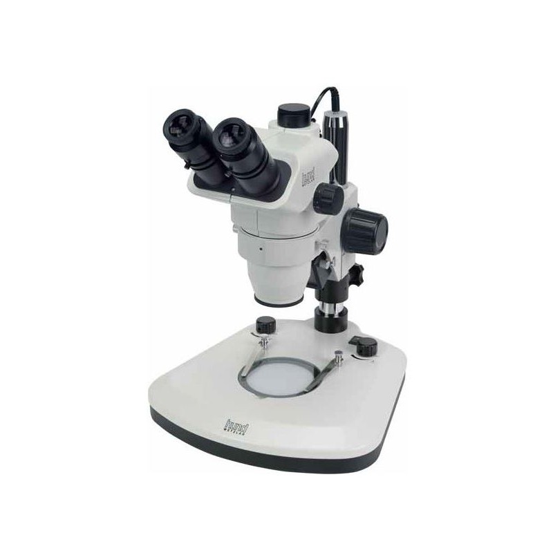 Hund Wiloskop- F Zoom ST stand - AD LED, trinocular (44381)