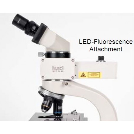 Iluminador fluorescente Hund Myco para microscópios (46216)