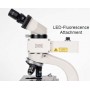 Iluminador fluorescente Hund Myco para microscópios (46216)
