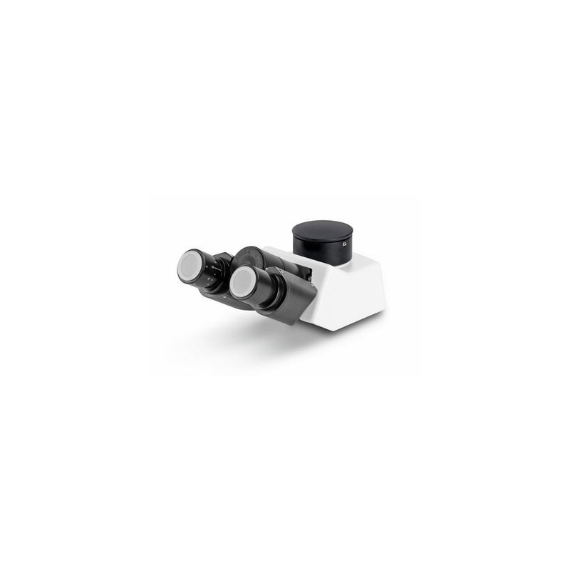 Kern Microscope head, OBB-A1580, trino (82954)