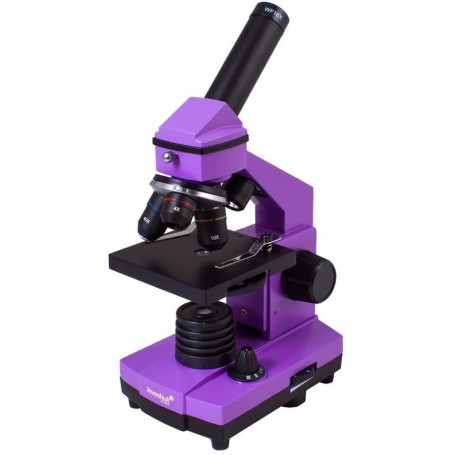 Мікроскоп Levenhuk Rainbow 2L Plus Аметист (60702)