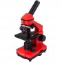 Microscop Levenhuk Rainbow 2L Plus Portocaliu (60706)