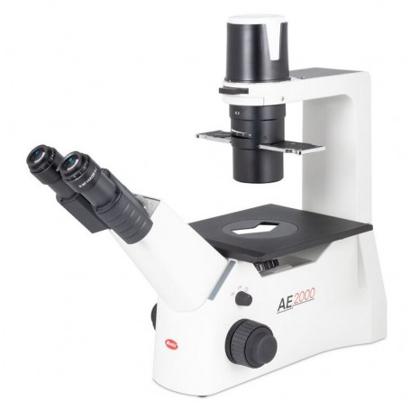 Microscop inversat Motic AE31E bino, infinit, 40x-400x, fază, Hal, 30W (67735)