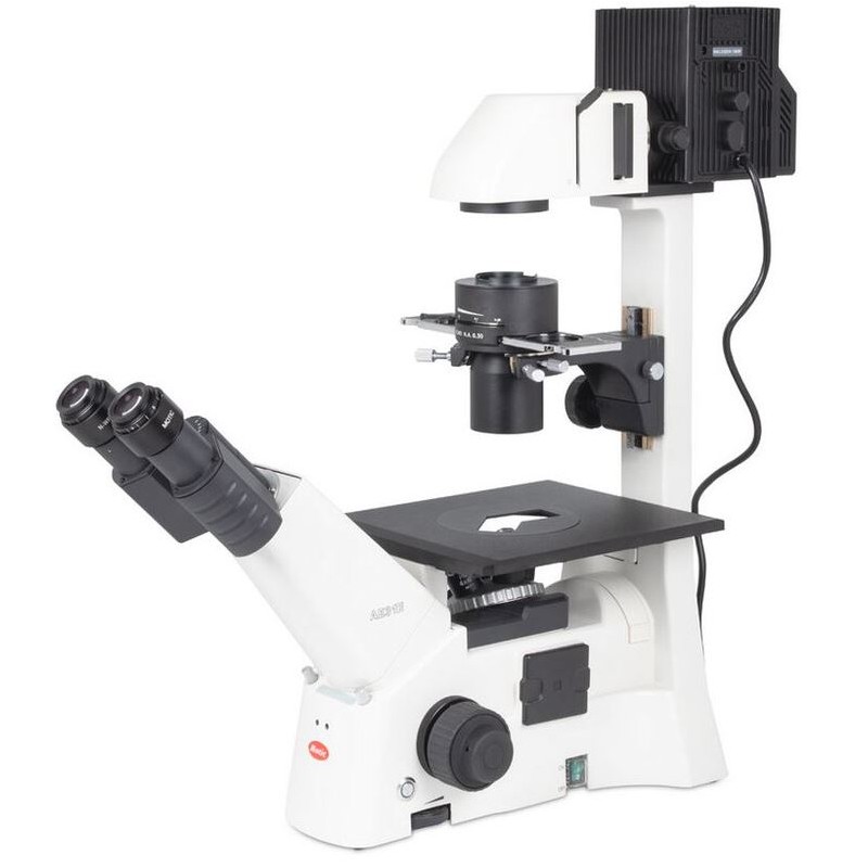 Motic Inverted microscope AE31E bino, infinity, 40x-400x, phase, Hal, 100W (67734)