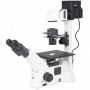 Microscopio invertito Motic AE31E bino, infinito, 40x-400x, fase, Hal, 100W (67734)