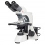 Микроскоп Motic BA410 Elite, бинокулярный, галогенный, 100 Вт, 40x-1000x (53499)