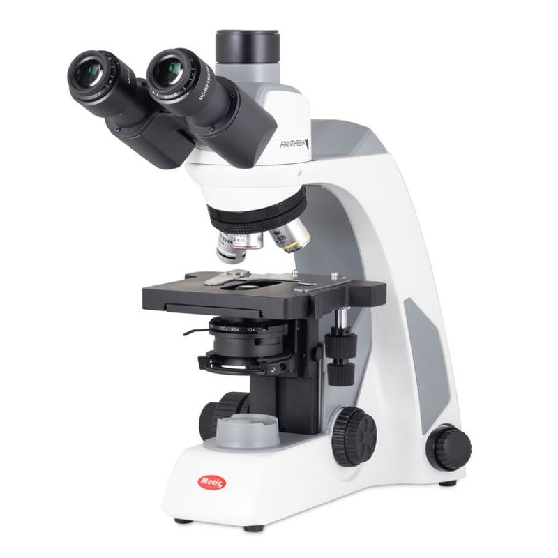 Motic Microscope Panthera E2, Trinocular, HF, Infinity, plan achro., 40x-1000x, fixed Koehl.LED (65803)