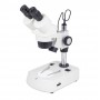 Motic stereo mikroskopas SFC-11C-N2LED (76702)