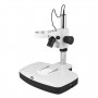 Motic FBLED stand, large stage with head and illumination (48174)