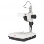Motic Pole stand with head holder, incident-transmitted-LED (46654)