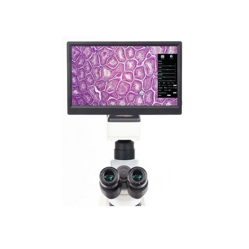 Motic Camera 1080 BMH, color, CMOS, 1/2.8", 8MP, HDMI, USB 2 (56050)