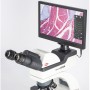 Motic 摄像机 Kamera 1080 INT,适用于 BA 系列,8MP (56051)