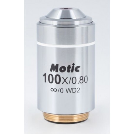 मोटिक ऑब्जेक्टिव 100x/0.8 (एए 2 मिमी), सीसीआईएस एलएम प्लान अक्रो. इनवर्स (56289)