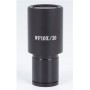 モティック マイクロメーター接眼レンズ WF10X/20mm、10mm /100、十字線 (B3_PL) (73979)