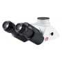 Motic Trinocular head Siedentopf type 30° inclined, (Fixed light split 50:50) (48413)