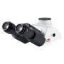 Motic BA310 三眼ヘッド シーデントップ型 30°傾斜、360º回転(光分割 100:0/20:80)(48412)