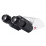 Motic BA310 双目头 Siedentopf，30° 倾斜，360º 旋转 (48411)