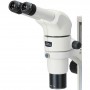 Стерео микроскоп с увеличение Nikon SMZ800N, бинокулярен, 1x-8x, FN22, W.D.78mm, P-DSL32 LED (65795)