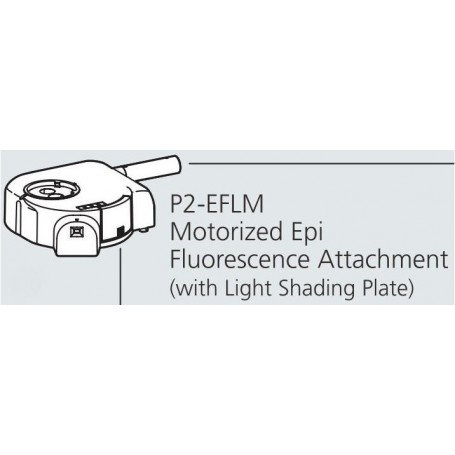 Nikon P2-EFLM Epi-FL-Illuminator, motorizzato (65489)