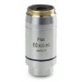 عدسة Euromex DX.7260، 60/0.80 PLi plan، لا نهائية، S، w.d. 0.3 مم (Delphi-X) (53766)