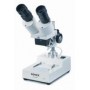 Microscópio estereoscópico Novex AP-4, binocular (9690)