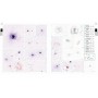 Oculum Verlag Atlas interstellarum Deep Sky Guide Premium-versie (56643)