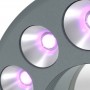 星光光电 RL12-10 UV365，紫外线（365 nm），Ø 66mm（58960）